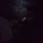 IMG_20231231_113530_134.jpg IMG_20231231_113530_134.jpg