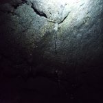 IMG_20231231_114305_172.jpg IMG_20231231_114305_172.jpg