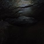 IMG_20231231_113611_075.jpg IMG_20231231_113611_075.jpg