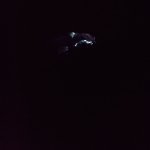 IMG_20231231_114047_495.jpg IMG_20231231_114047_495.jpg