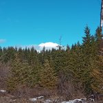 IMG_20231231_123318_298.jpg IMG_20231231_123318_298.jpg