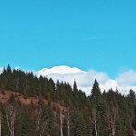 IMG_20231231_123554_394.jpg IMG_20231231_123554_394.jpg