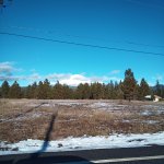 IMG_20231231_123922_237.jpg IMG_20231231_123922_237.jpg