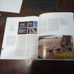 IMG_20240103_164127_227.jpg IMG_20240103_164127_227.jpg