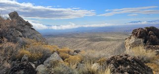 20240104_111813_copy_1600x747.jpg 20240104_111813_copy_1600x747.jpg