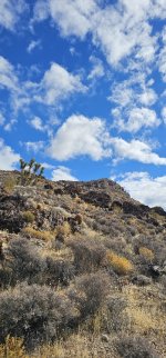 20240104_110551_copy_349x747.jpg 20240104_110551_copy_349x747.jpg