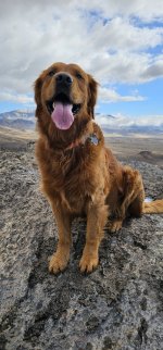 20240104_122700_copy_349x747.jpg 20240104_122700_copy_349x747.jpg