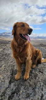 20240104_122657_copy_349x747.jpg 20240104_122657_copy_349x747.jpg