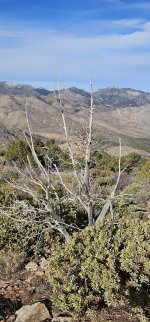 20240105_110027_copy_1200x2570.jpg 20240105_110027_copy_1200x2570.jpg