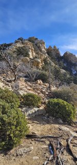 20240105_112432_copy_1200x2570.jpg 20240105_112432_copy_1200x2570.jpg