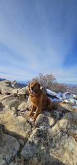 20240105_115355_copy_1200x2570.jpg 20240105_115355_copy_1200x2570.jpg