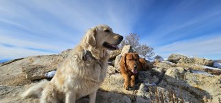 20240105_115416_copy_1200x560.jpg 20240105_115416_copy_1200x560.jpg