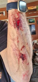 Screenshot_20240108_060127_Gallery_copy_1200x2573.jpg Screenshot_20240108_060127_Gallery_copy_1200x2573.jpg