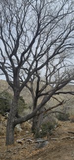 20240106_104735_copy_1200x2570.jpg 20240106_104735_copy_1200x2570.jpg