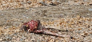 20240106_104618_copy_1200x560.jpg 20240106_104618_copy_1200x560.jpg