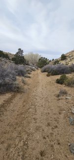 20240106_122544_copy_1200x2570.jpg 20240106_122544_copy_1200x2570.jpg