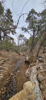 20240106_125250_copy_1200x2570.jpg 20240106_125250_copy_1200x2570.jpg