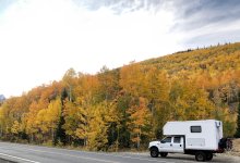 IMG_8780 (1).jpg IMG_8780 (1).jpg