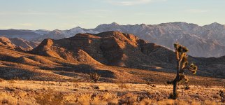 20240108_172428_copy_1600x747.jpg 20240108_172428_copy_1600x747.jpg