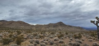 20240107_133429_copy_1600x747.jpg 20240107_133429_copy_1600x747.jpg