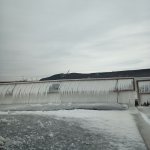 IMG_20240113_123227_944.jpg IMG_20240113_123227_944.jpg