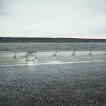 IMG_20240113_123255_474.jpg IMG_20240113_123255_474.jpg