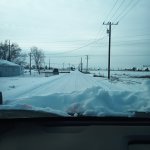 IMG_20240114_085656_240.jpg IMG_20240114_085656_240.jpg