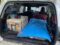 IMG_0313.jpg IMG_0313.jpg