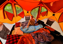 Screenshot 2024-01-17 100848.png Screenshot 2024-01-17 100848.png