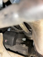 IMG_2207.JPEG IMG_2207.JPEG