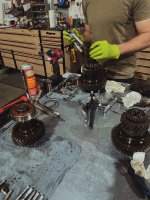 dehancer 2024-01-31 04:12:46 UTC.jpeg