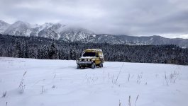 IMG_5009.jpg IMG_5009.jpg