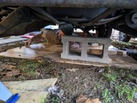 PXL_20240126_214224443 copy.jpg