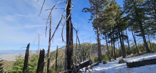 20240129_120006_copy_1200x560.jpg 20240129_120006_copy_1200x560.jpg