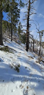 20240129_114531_copy_1200x2570.jpg 20240129_114531_copy_1200x2570.jpg