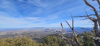 20240129_124425_copy_1200x560.jpg 20240129_124425_copy_1200x560.jpg