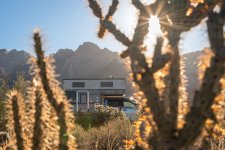 Sunburst Through Cholla Cactus at Overlanding Campsite near Eloy.jpg
