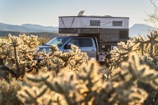 Cholla Forest at Overland Campsite in Tortilla Mountains.jpg