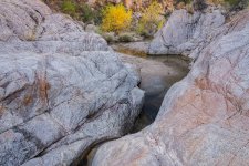 Autumn Willows and Creek in Romero Canyon.jpg