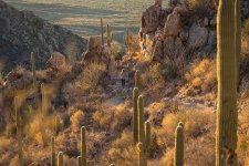 Hikers Descending Romero Canyon Trail at Sunset-2-2.jpg