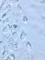 IMG_5175.jpeg IMG_5175.jpeg