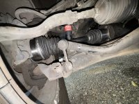 IMG_2252.JPEG IMG_2252.JPEG