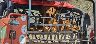 20240130_133857_copy_1600x747.jpg 20240130_133857_copy_1600x747.jpg