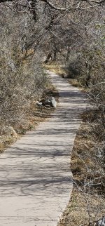 20240128_130704_copy_349x747.jpg 20240128_130704_copy_349x747.jpg