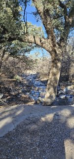 20240127_100133_copy_349x747.jpg 20240127_100133_copy_349x747.jpg