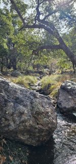 20240128_135323_copy_349x747.jpg 20240128_135323_copy_349x747.jpg