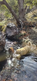 20240128_135316(0)_copy_349x747.jpg 20240128_135316(0)_copy_349x747.jpg