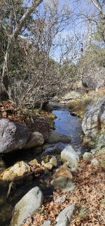 20240128_135232_copy_349x747.jpg 20240128_135232_copy_349x747.jpg