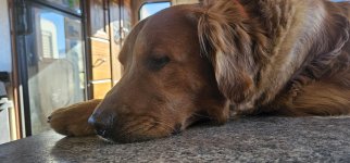 20240131_094722_copy_1600x747.jpg 20240131_094722_copy_1600x747.jpg