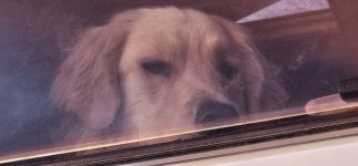 20240130_180251_copy_1600x747.jpg 20240130_180251_copy_1600x747.jpg